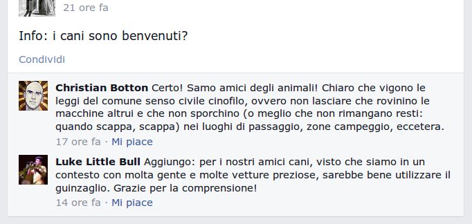File allegato: