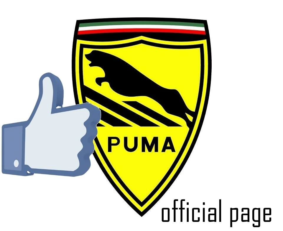 File allegato: