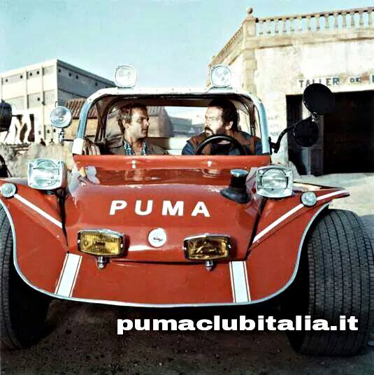File allegato: