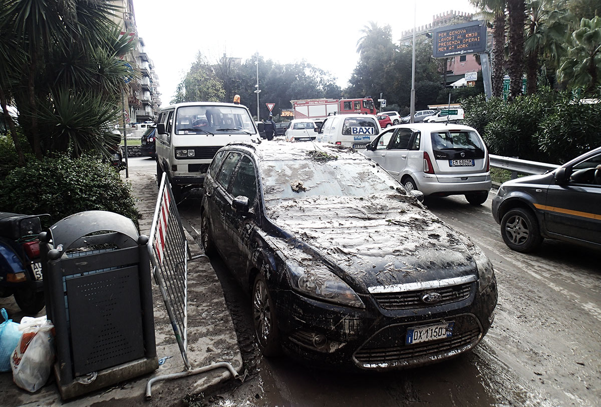 File allegato: