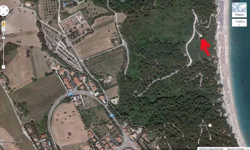 File allegato: