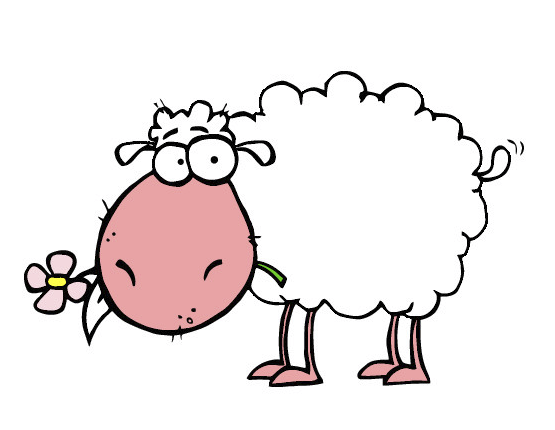 File allegato: