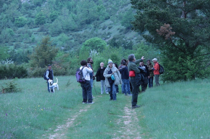 File allegato: