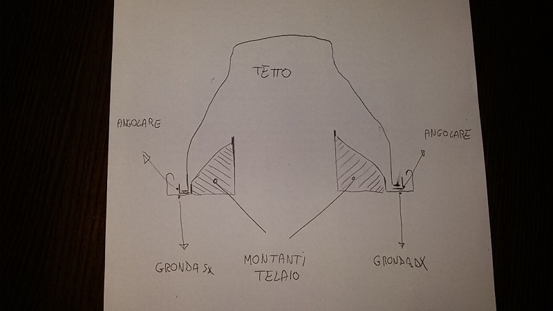 File allegato: