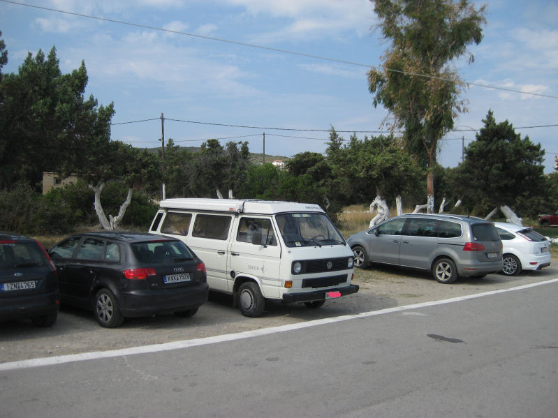 File allegato: