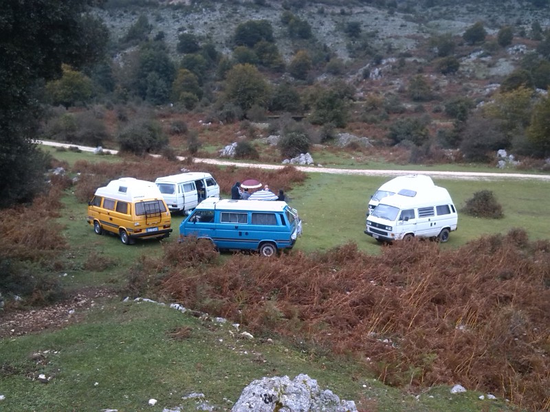 File allegato: