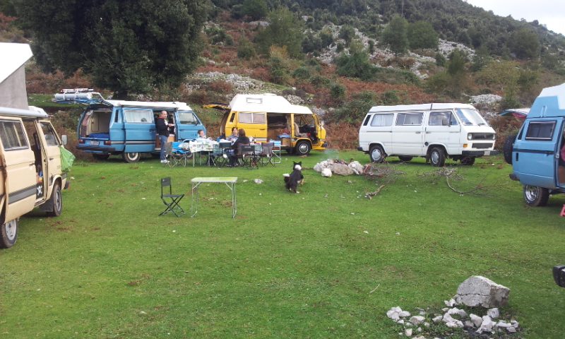 File allegato: