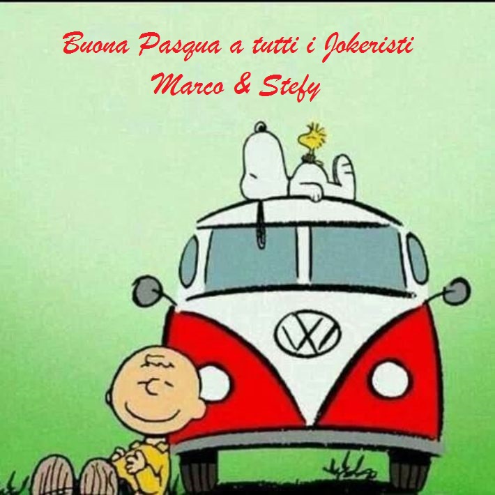 File allegato: