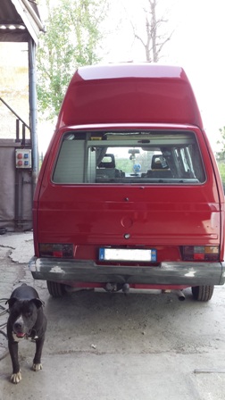 File allegato: