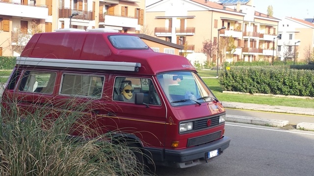 File allegato: