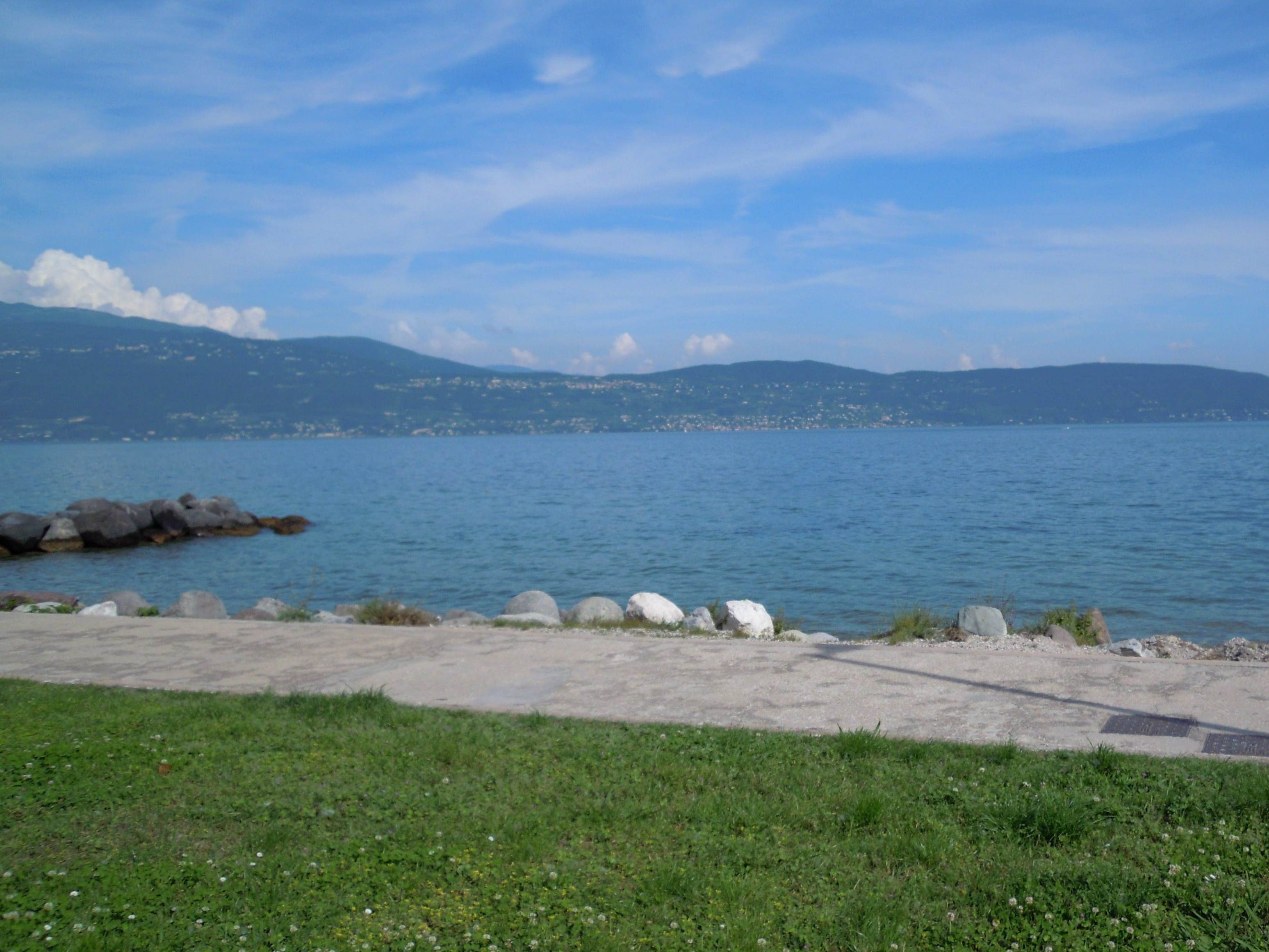 File allegato:
