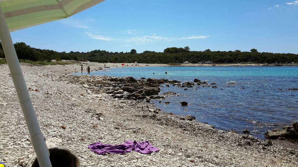 File allegato: