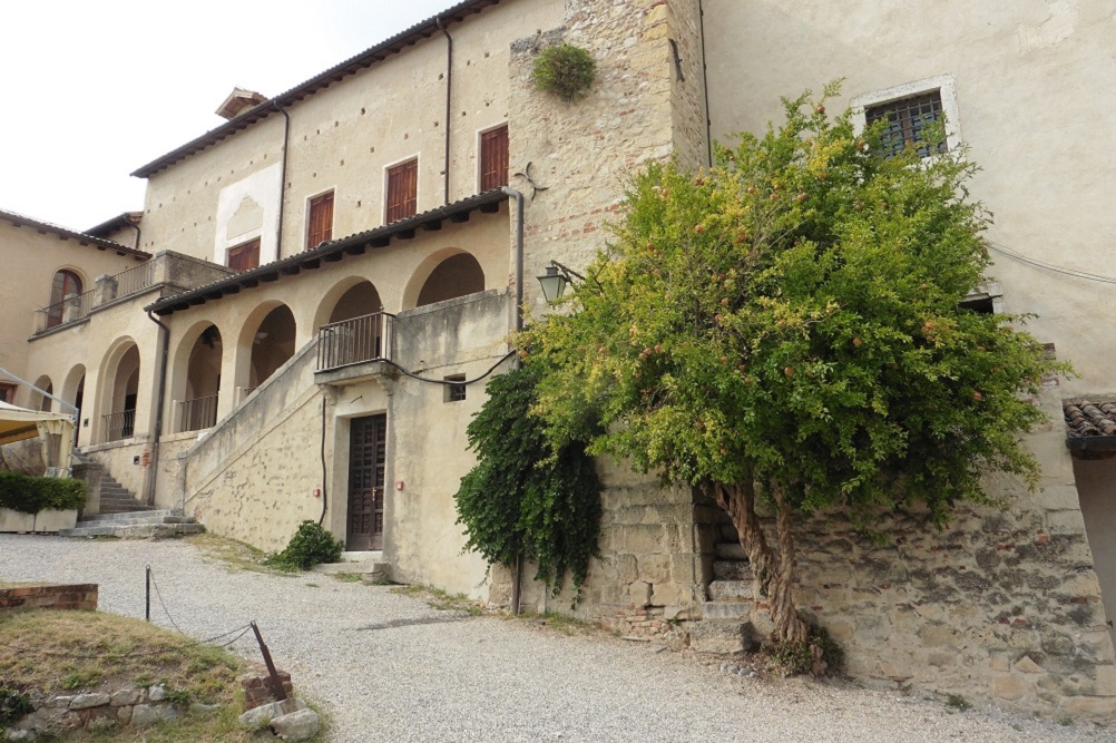 File allegato: