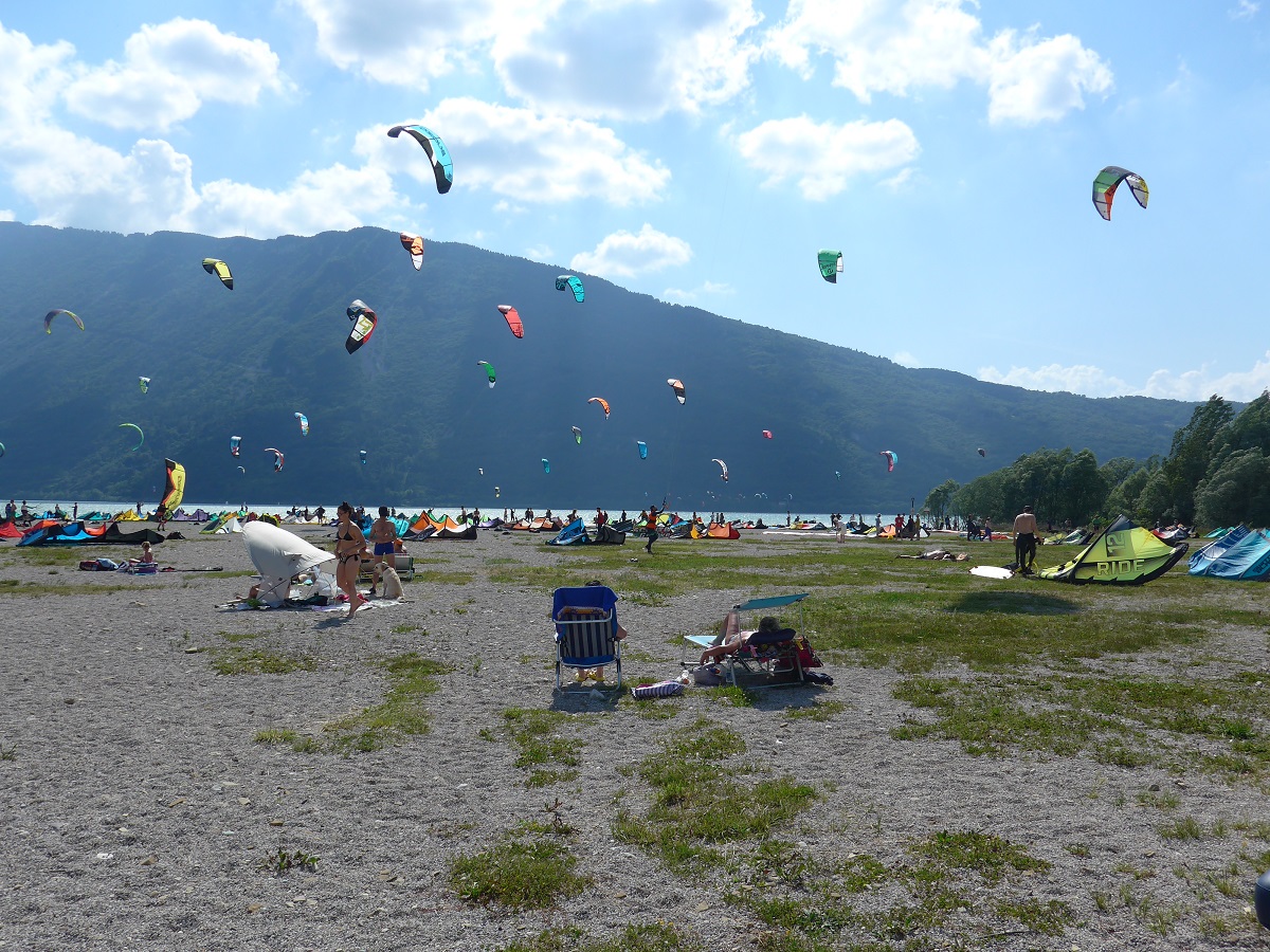 File allegato: